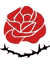 حزب توده ايران